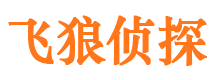 濠江外遇调查取证